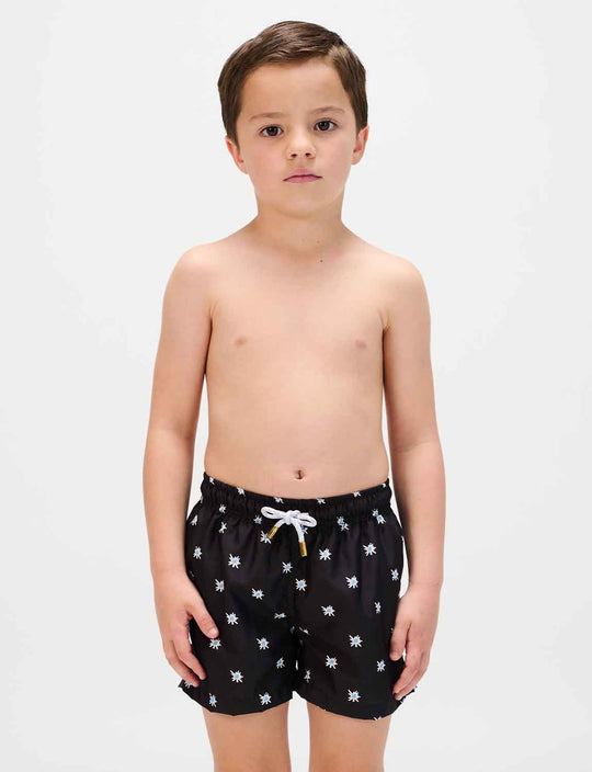 Vani Mini Trunk