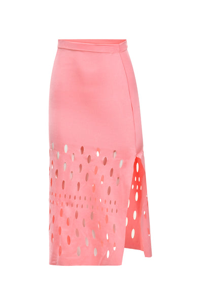 The Pink Haute Mesh Skirt Set