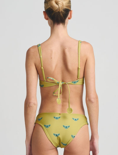 Bottom Classic Siraya