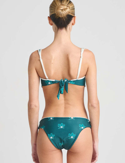 Bottom Classics Areka