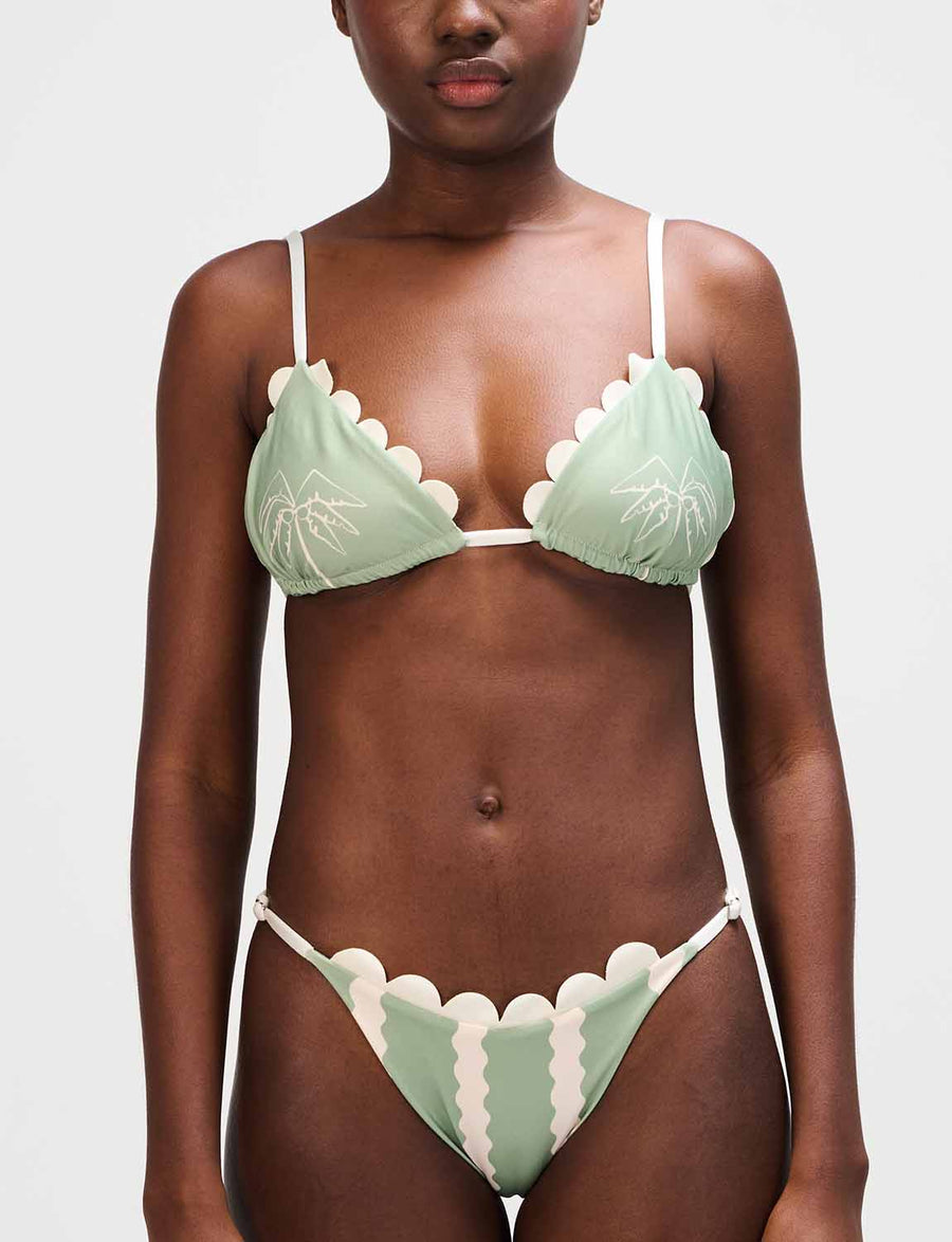 Top Triangle Coralia