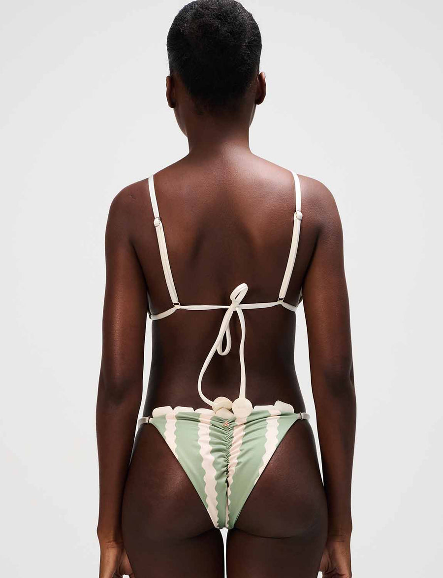 Top Triangle Coralia