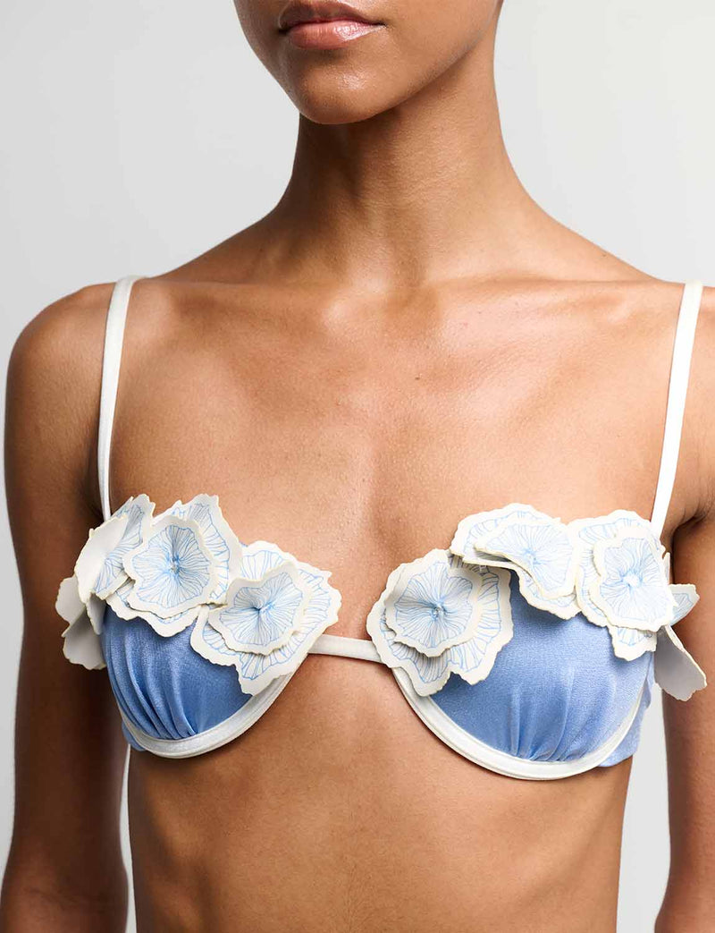 Top Cups Reef Bloom