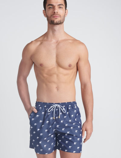 Hypnotic Night Trunk