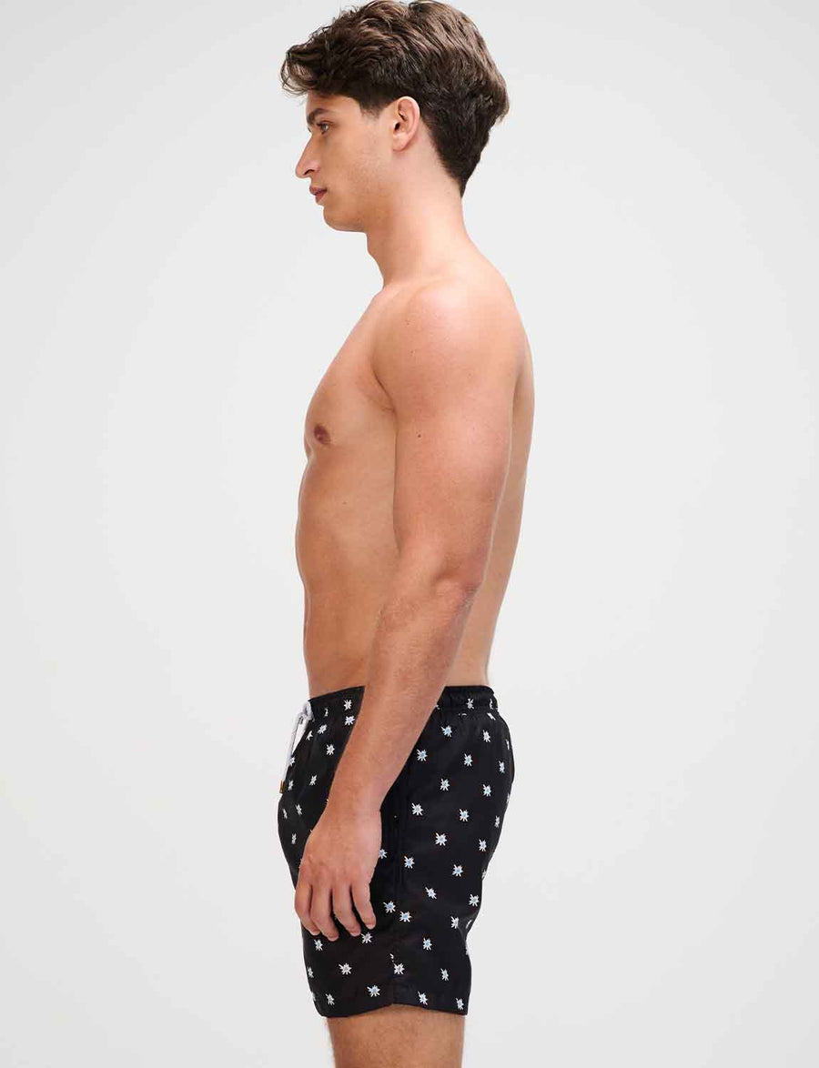 Vani Trunk