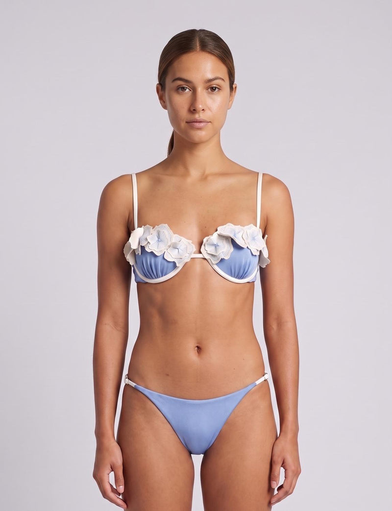 Top Cups Reef Bloom